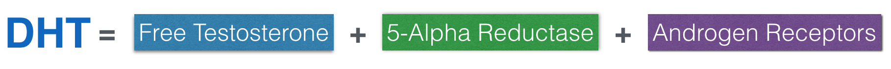 Part Two Decreasing Dht By Inhibiting 5 Alpha Reductase Part Two Decreasing Dht By Inhibiting 5 Alpha Reductase